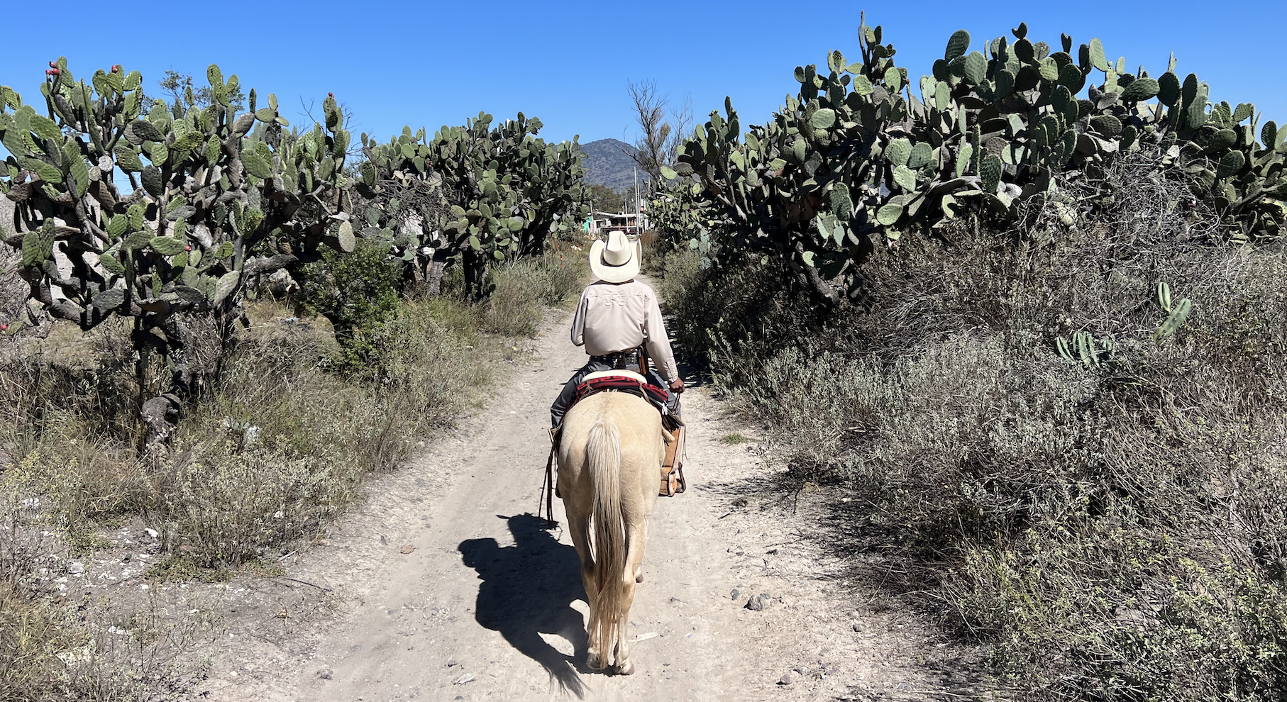 Rancho las Cascadas riding horses in Mexico